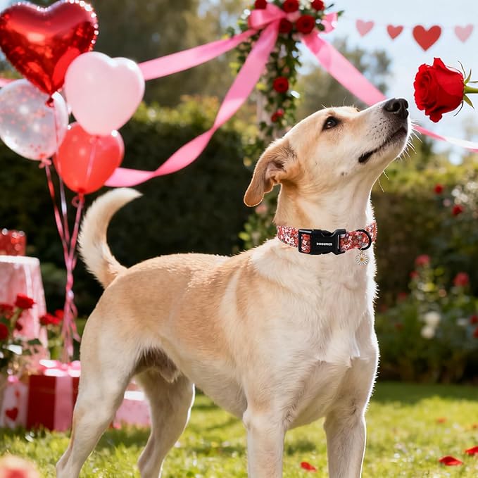 DOGWONG Red Flower Dog Collar, Cute Adjustable Floral Collar, Girl Female Dog Collar with Strong Plastic Buckle for Small Medium Large Dog.M