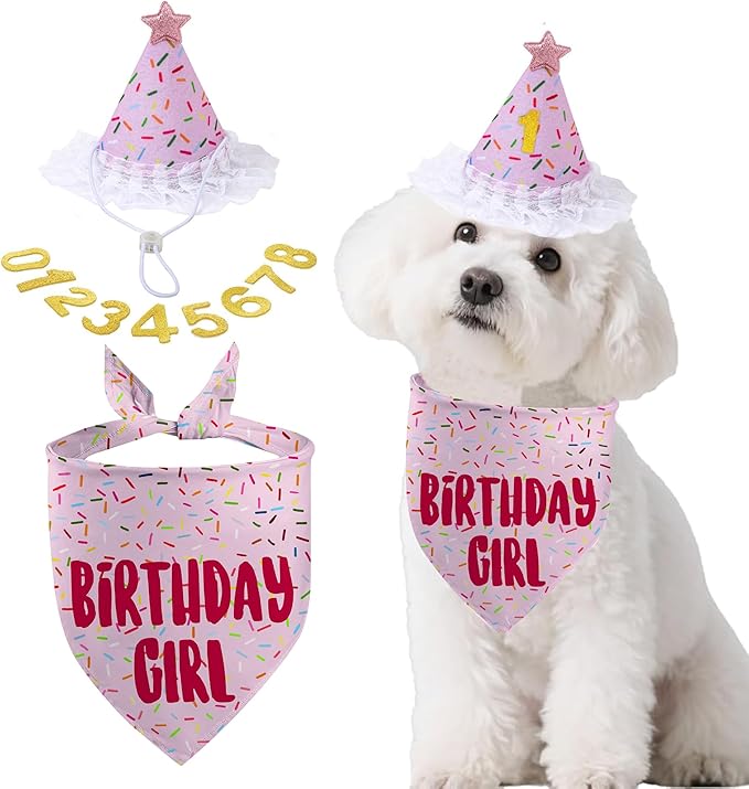 Dog Birthday Bandana Set, Light Pink Birthday Girl Decorations, HBD Party Supplies with Hat Bandana Numbers for Pets (Light Pink)