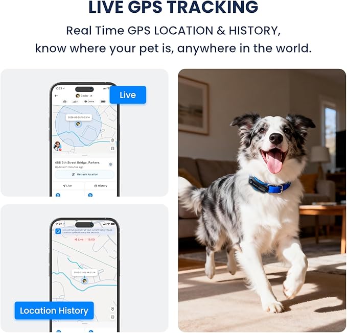 AI GPS Tracker for Dogs (40lbs+), Real Time Location and AI Vet Health Management, Electronic Fence, Waterproof, iOS and Android Universal（Black）