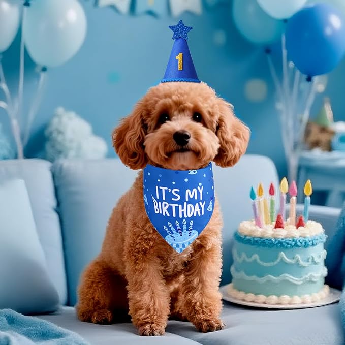 Dog Birthday Party Supplies, Blue Dog Birthday Set with Hat Bandana Numbers for Small Boy Pets Puppy
