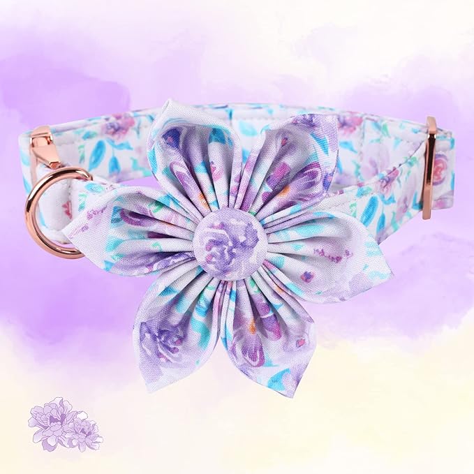Lionheart Glory Dog Collar, Purple Dog Collar with Flower, Cute Floral Pattern Pet Collar Adjustable Dog Collar for Large Dogs