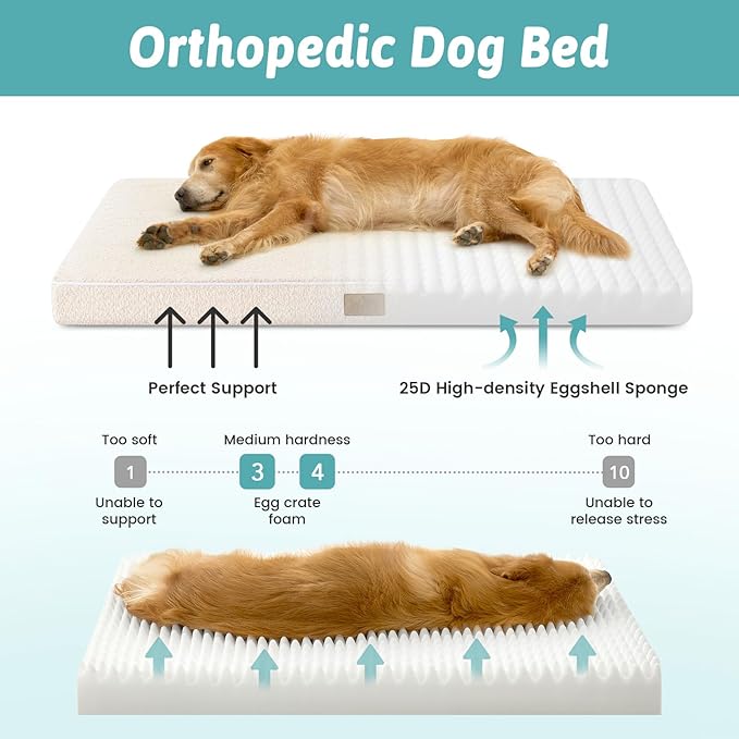 Dog Crate Bed for Medium Small Size Dogs, Rectangular Orthopedic Dog Beds, Foam Anti-Slip Bottom Pet Mat with Washable Removable Cover, Suitable for Pet Up to 40 lbs, 30x20x3 inch, Beige