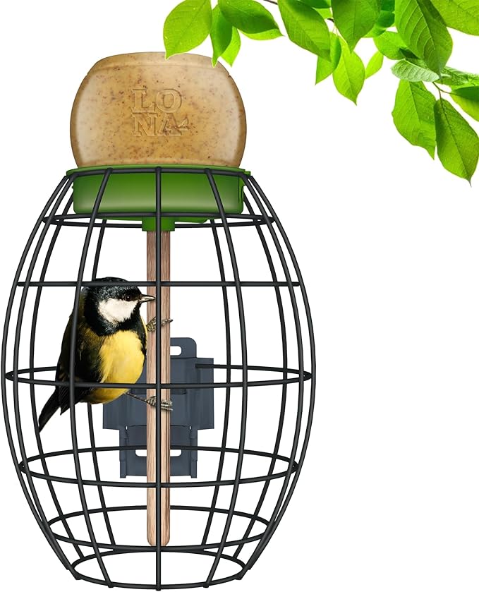 LONA Squirrel Proof Bird Feeding Cage for Outdoor, All-Weather Metal Caged Bird Feeder with Peanut Butter Jar Holder, Trapeze Stick, Chew-Proof Feeding Cage for Small Birds (Oval Cage, 1 Feeding Unit)