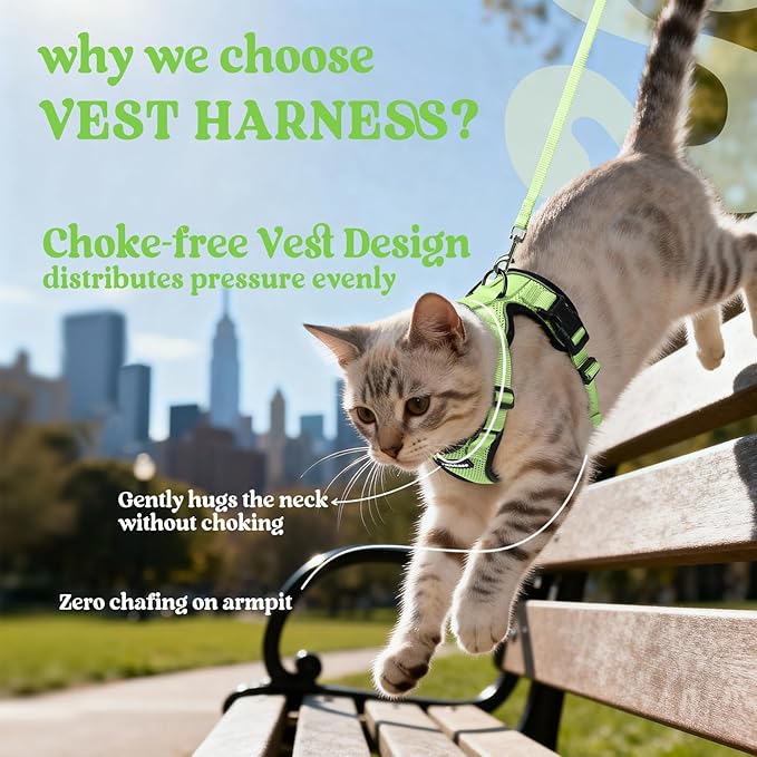 rabbitgoo Cat Harness and Leash for Walking, Escape Proof Soft Adjustable Vest Harnesses for Cats, Easy Control Breathable Reflective Strips Jacket, Light Green, S