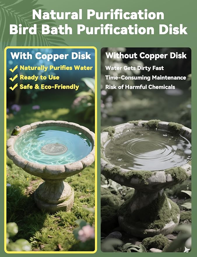 CNARIO 2 Pcs Water Purification Disc for Birdbaths, Bird Baths 99.99% Pure Copper Cleaning Disk, Safe Natural Solution for Bird Bath, 0.6mm Thick with Stable Triple-Point Support