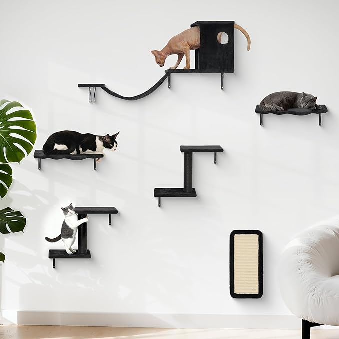 6-in-1 Cat Wall Shelves, Wall-Mounted Cat Furniture for Indoor Kittens, Modern Floating Shelves with Scratching Posts, Bed, Perch, Bridge, Condo, Steps and Scratcher, Space-Saving Gym, Black