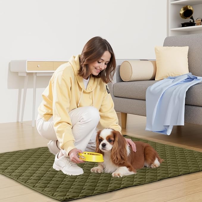 Smiry Waterproof Dog Bed Cover Blanket, Soft Reversible Pet Blanket, Washable Leakproof Cats Dogs Couch Cover for Sofa, Couch, Furniture (30x53 Inch, Green/Navy)
