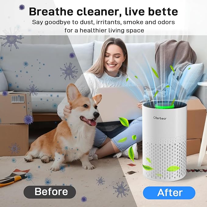 Air Purifiers for Home Bedroom Up to 1250 Ft² - H14 HEPA Air Purifier with Aroma & Sleep Mode - 24dB Small Room Air Purifier for Allergies, Smoke, Dust, Pollen, Pet Dander,4000B,White