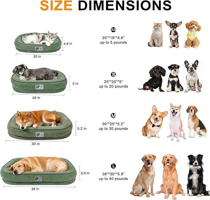 Orthopedic Dog Bed for Small Dog, Washable with Removable Cover&Non-Slip Bottom with Four-Sided Bolster Cushions,squishmallow Green S