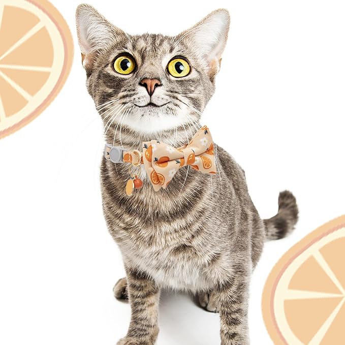 Faygarsle 2 Pack Cute Cat Collar With Bell Breakaway Bowtie for Male Female Cats - Soft Fancy Orange Yellow Pineapple Pattern Summer Collar for Boy Girl Cats