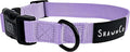 ShawnCo Dream Walk Dog Collar- Premium, Adjustable and Comfortable Pet Collar for Small, Medium, Large and Extra Large Dogs (S, ICY Lilac)
