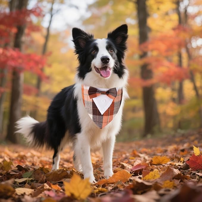 ADOGGYGO Fall Dog Tuxedo Bandana, Orange Plaid Pet Fall Collar with Bowtie, Adjustable Halloween Thanksgiving Costume for Medium Dogs (M)