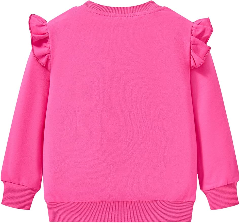 Toddler Baby Girls Cotton Sweater, Long Sleeve Crewneck Sweatshirt Pullover Kids Warm Clothing for Fall Winter