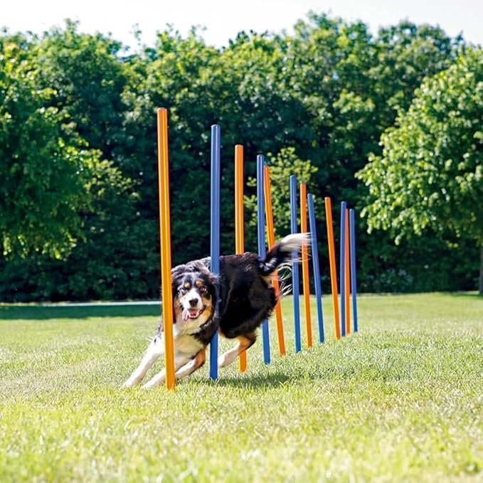 PAWISE Dog Agility Training Equipment,12 Weave Poles for Dogs with Stakes & Carry Bag, Dogg Agility Training Set for Outdoor Obstacle Course, Backyard Dog Exercise & Training Equipment for All Breeds
