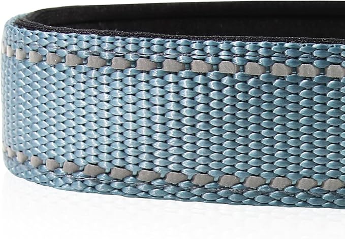 Joytale Reflective Dog Collar, Soft Neoprene Padded, Metal D-Ring, Nylon Pet Collar Adjustable for Extra Large Dogs, Gray, XL