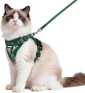 rabbitgoo Cat Harness and Leash for Walking, Escape Proof Soft Adjustable Vest Harnesses for Cats, Easy Control Breathable Reflective Strips Jacket,Rainforest Green,M
