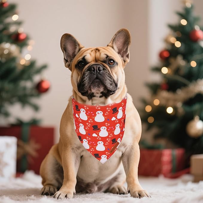ADOGGYGO Christmas Dog Bandanas 2 Pack, Reversible Snowman Hoho Pattern Xmas Scarf, Premium Fabric, Adjustable Fit Red Green Christmas Bandanas for Small Dogs (Small)