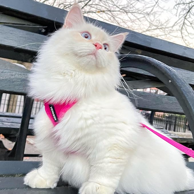 Voyager Escape-Proof Step-in Lock Cat Harness & 5ft Neoprene-Handle Leash Set All-Weather Mesh with Reflective Stitching for Small to Large Cats by Best Pet Supplies, Fuchsia, S
