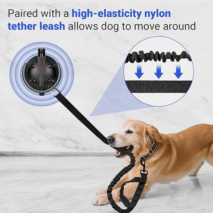 Dog Bathing Suction Cup with Tether, High Elasticity Nylon Dog Bathing Tether Leash with Powerful Suction Cup for Pet Puppy Cat Shower,Trimming, Grooming