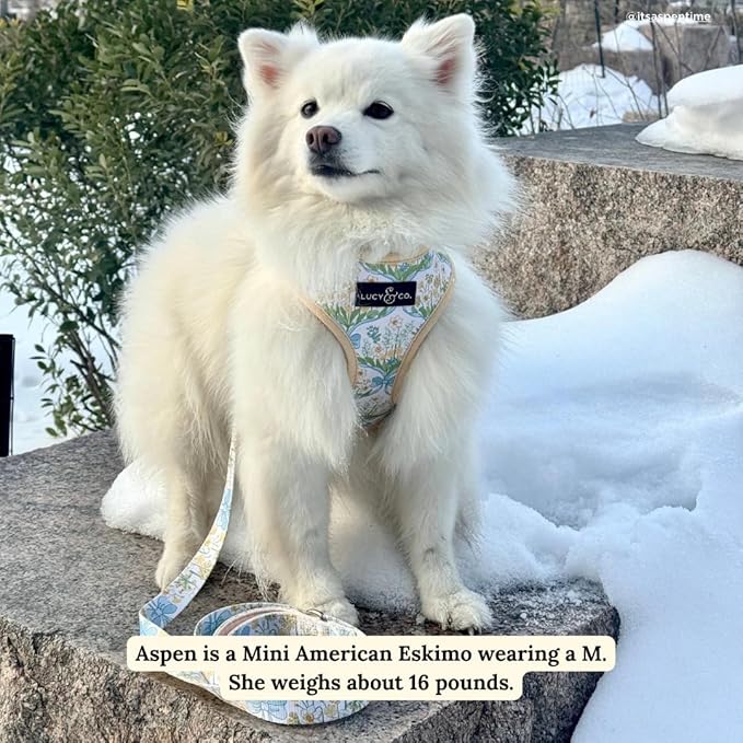 Lucy & Co. Sunshine and Daffodils Reversible Dog Harness, Adjustable Comfort Fit with Dual Leash Attachments, Large