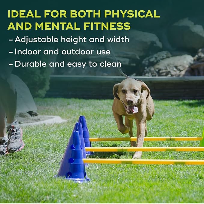 FitPAWS Ball Dynamics CanineGym Agility Kit