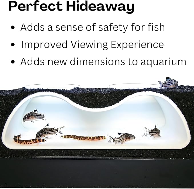 Aquarium Underground Tunnel Cave Natural Curve Two Hole | Viewing Fish & Shrimp Under Gravel Tunnel | Fish Tank Decor Decoration Hideout Perfect for Corydora Catfish, Kuhli Loach, Pleco (White)