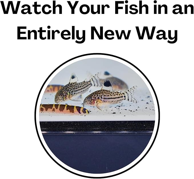 Aquarium Underground Tunnel Cave Natural Curve | Viewing Fish & Shrimp Under Gravel Tunnel | Fish Tank Decor Decoration Hideout Perfect for Corydora Catfish, Kuhli Loach, Clown Loach, Pleco (White)