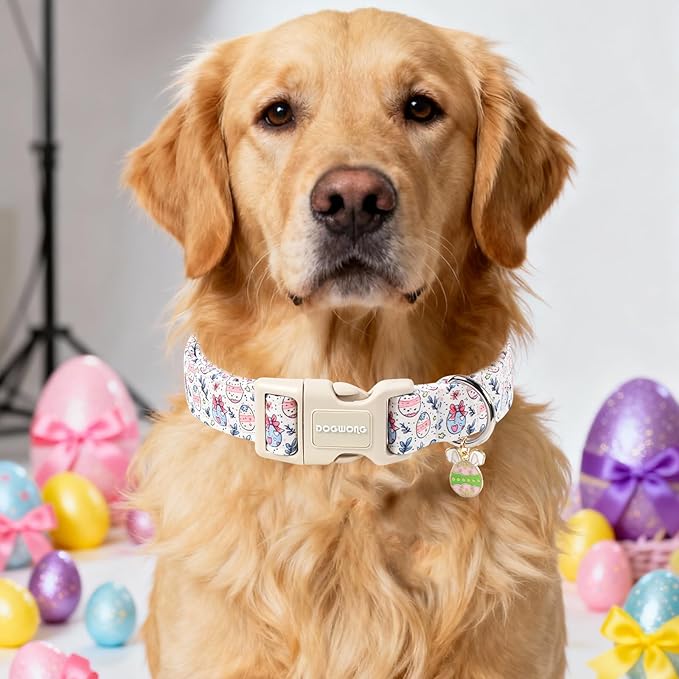 DOGWONG Cute Easter Egg Dog Collar, Adjustable Soft Egg Pet Collar for Small Medium Large Dogs,S Visit The Elegant Little Tail Store