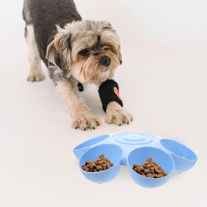 GLEAVI Multiple Pet Feeder Bowl with Compartments, Plastic Pet Food and Treats Dispenser for Dogs and Cats, Blue Indoor Puppy and Kitten Feeding Dish for Home Use