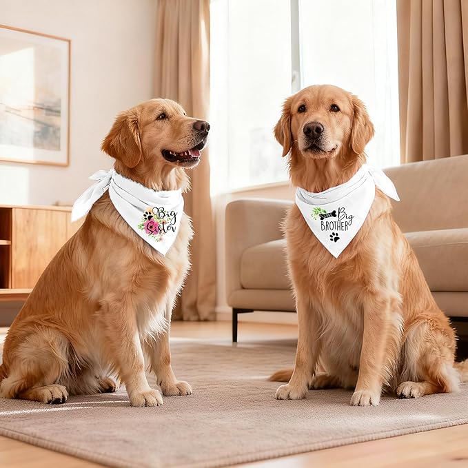 2 Packs Big Sister Brother Pregnancy Announcement Dog Bandana, Gender Reveal Photo Prop, Pet Scarf Accessories, Pet Scarves for Dog Lovers