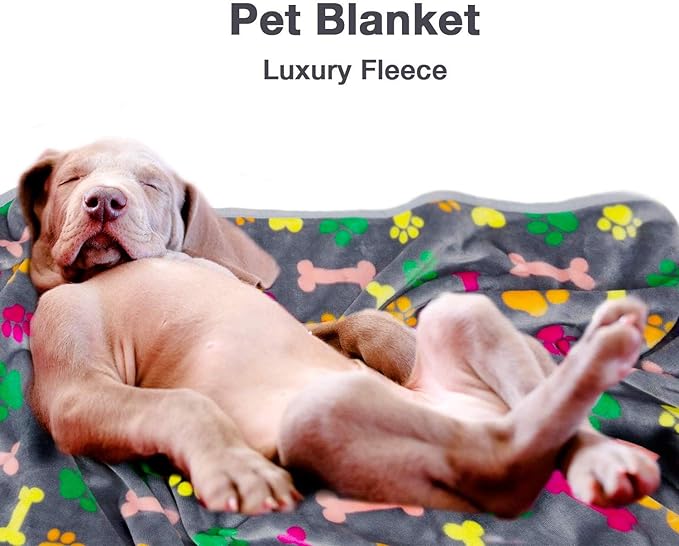 Allisandro Luxurious Dog Blanket, 350 GSM Super Fuzzy Microplush Fleece Pet Blankets for Small Medium Large Dogs and Cats, Vivid Paw and Bone, 64 x 40 Inches