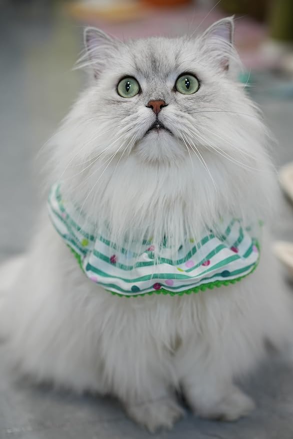 Cat Dog Birthday Bandana Scarf and Party Hat Cute Polka dot and Stripe Bib Scarf and Birthday Hat Cat Puppy Birthday Party Decorations Set