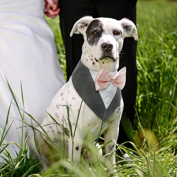 FUAMEY Dog Tuxedo for Small Dogs,Dog Formal Suit Dogs Attire Pet Bow Tie Puppy Party Costumes Cat Tux Outfits Pets Bandana Cosplay Adjustable Bowties Wedding Birthday Valentines Grey XS