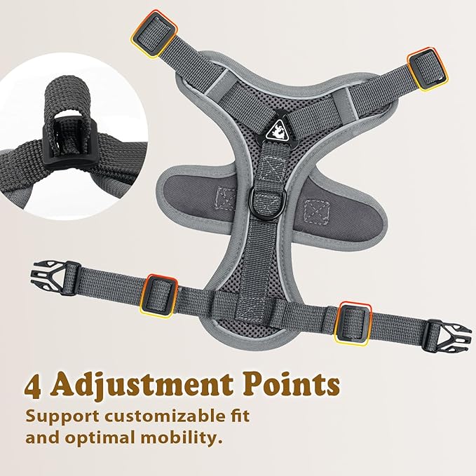 Cat Harness and Leash for Walking, Escape Proof Soft Adjustable Vest Harnesses for Cats (Grey, Medium)