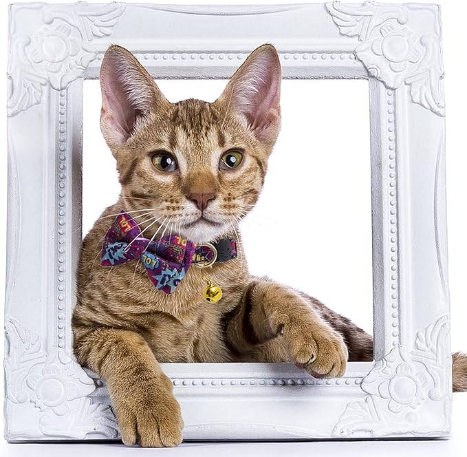 Faygarsle 2 Pack Cotton Designer Breakaway Cats Collar with Bow Tie and Bell Graffiti Style Cat Collars for Girl Female Boy Male Cat Collar with Bell Collars for Cats Purple Yellow
