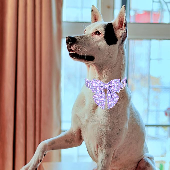 MR. CHUBBYFACE Easter Dog Collar, Purple Rabbit Puppy Collar with Flower, Adjustable Pet Collar Bowtie for Small Medium Large Dogs