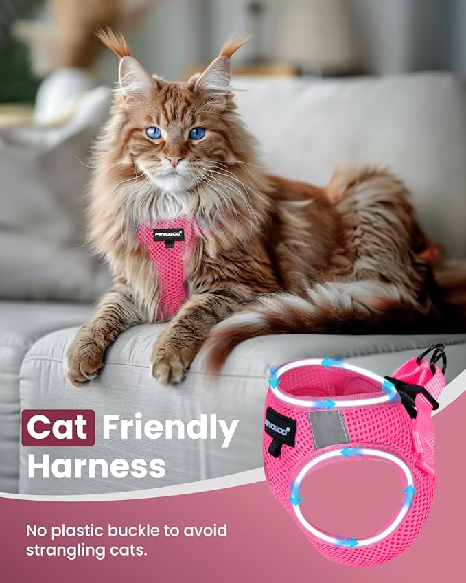 FAYOGOO Cat Harness, Cat Leash and Harness Set for Walking Escape Proof, Harness for Small Cats/Small Dogs, Large Kitten/Puppy Harness and Leash, Harness for Cats S-XXL(Pink, XX-Large)