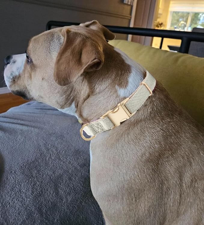Soft Cotton Hemp Dog Collar with Metal Buckle Adjustable Twilled Dog Collars for Small Medium Large Dogs(Grey,Small)
