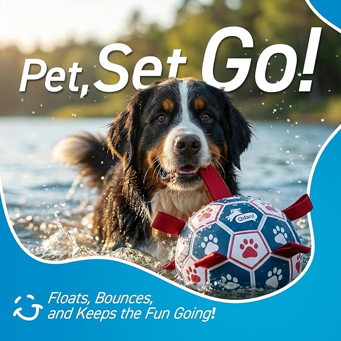 QDAN Dog Toys Soccer Ball with Straps, Durable Giant Dog Balls, Outdoor Dogs Toys, Herding Ball, Birthday Gifts (10 Inch)