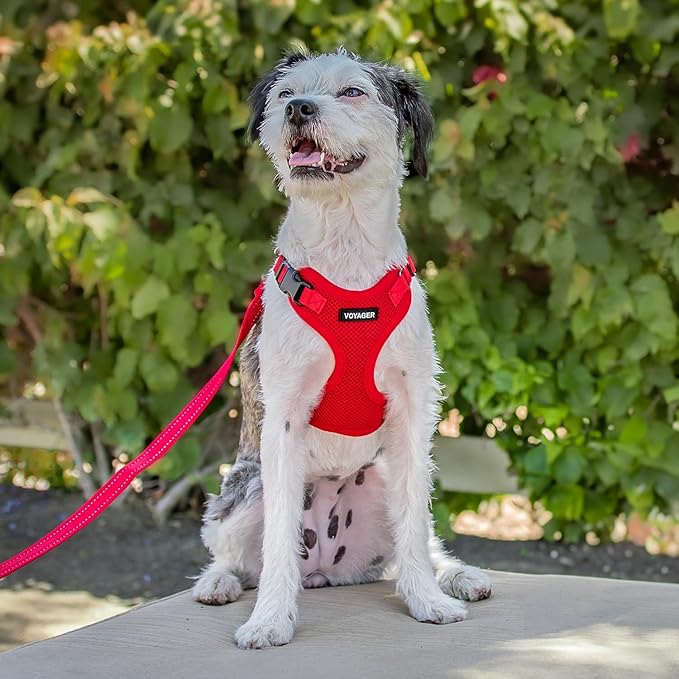 Voyager Step-in Pet Harness - All Weather Mesh, Adjustable Step in Harness for Cats and Dogs by Best Pet Supplies - Red, XS