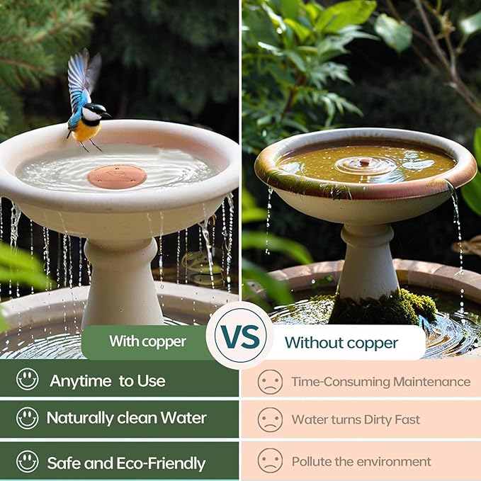 QIANQIAN Bird Bath Copper Disk, Copper Bird Bath Purification Disk (2, Copper)