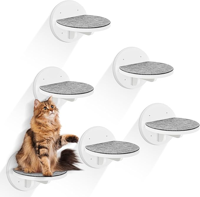 Cat Wall Shelves Furniture Set of 6, Wooden Cat Steps for with Scratching Pad, Sturdy Floating Climber Ladder Stairs, Cats Climbing Wall Systems for Cats Sleep Climb Play (White)