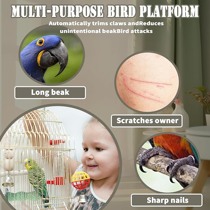 4PCS Bird Beak Grinding Stone,Cage Accessories for Parakeets,Bird Parrot Cage Perch, Stand Platform Foot Claws Trimmer Chewing Toys for Budgies, Parakeets, Cockatiels, Conures