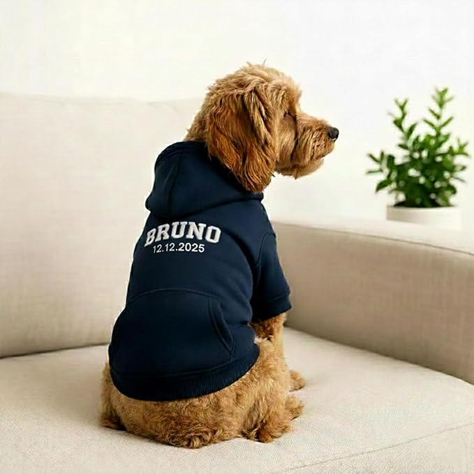 Personalized Dog Hoodie, Custom Embroidered Name Pet Hoodie, Warm Winter Outfit for Dogs, Pet Clothes, Gift for Dog Lovers 3