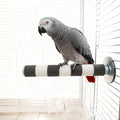 AOTU Bird Perch Natural Sandstone Parrot Perch Bird Perches for Cage– Durable Beak & Claw Trimming Grinding Stone for Birds, 7.9” x 1” – Safe, Non-Toxic, Long-Lasting Bird Cage Accessory