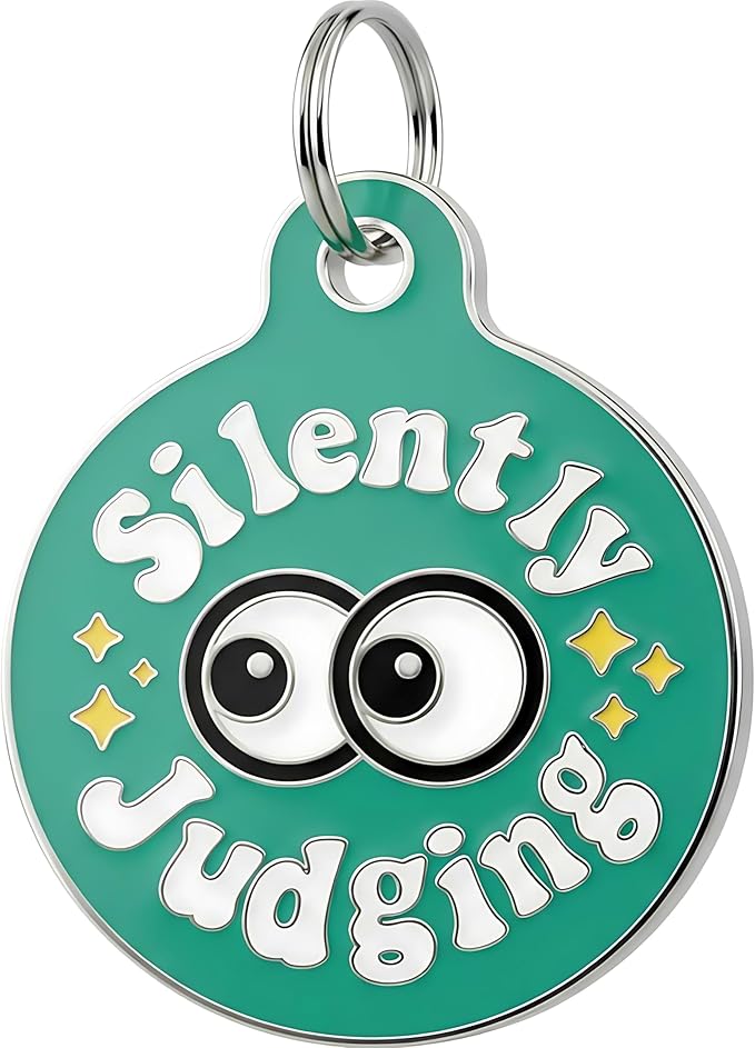 Bad Tags Personalized Dog and Cat ID Tags in 25+ Designs and 2 Sizes - 5 Lines of Custom Engraved Text - Funny Cute Personalized Pet Tags (Silently Judging - Green, Large (1.25 inch))