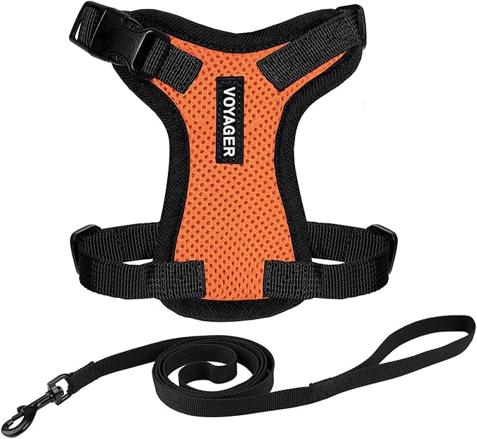 Voyager Escape-Proof Step-in Lock Cat Harness & 5ft Neoprene-Handle Leash Set All-Weather Mesh with Reflective Stitching for Small to Large Cats by Best Pet Supplies, Orange/Black Trim, S