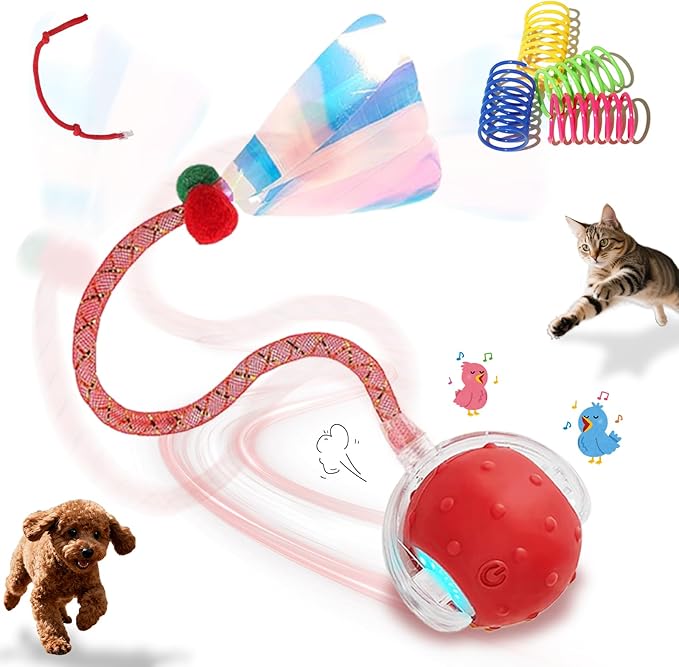 Interactive Cat Toys Ball for Indoor Cats,Automatic Cat Toy with Elastic Mesh Tail,Rechargeable Rolling Kitten Toy,Cat Enrichment Toys for Indoor Cats (Red1, Cat Toy Ball)