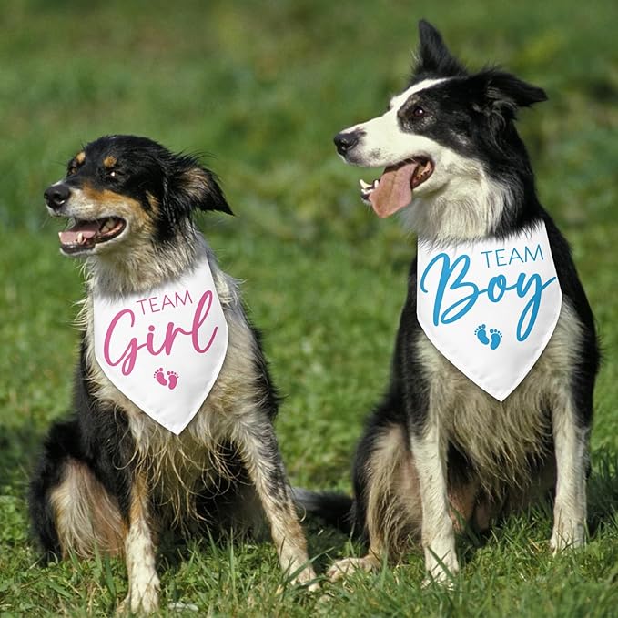 2 Packs Team Girl Team Boy Gender Reveal Baby Announcement Dog Bandana Pet Pregnancy Announcement Pink and Blue Dog Triangle Scarf Accessories for Small Medium Large Dogs Cats