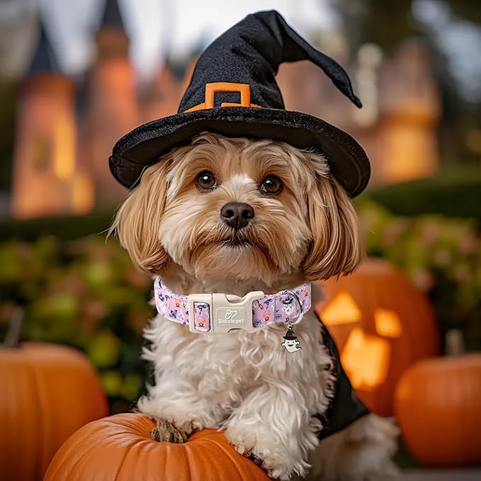 Halloween Dog Collar Cute Wizard Ghost Puppy Collar - Light Comfortable Adjustable Pet Collars for Small Medium Large Girl Boy Dogs XL